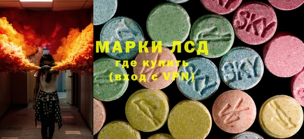мдпв Бородино
