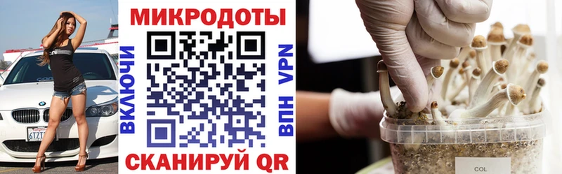 МЕГА вход  Очёр  Псилоцибиновые грибы Psilocybine cubensis 